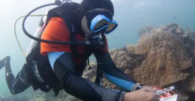 Uni Eropa Danai Rehabilitasi Terumbu Karang di Pulau Derawan