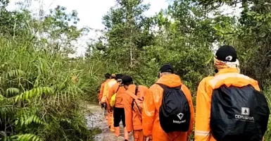 Pria Tua Hilang di Hutan Kukar, 7 Pencari Tersesat, Gaib?