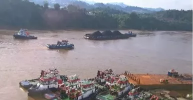 Misteri Sungai Mahakam: Ular Raksasa Bikin Merinding