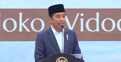 IKN Pemerataan Pembangunan jadi Indonesia Sentris, Kata Jokowi
