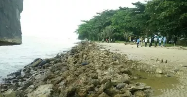 Duh, Gawat! 2 Pantai di Balikpapan Terancam Abrasi