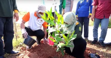 Gerakan Tanam Pohon, Selain untuk Keindahan, Ini Manfaat Lainnya