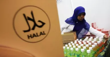 Biaya Mengurus Sertifikat Halal, untuk Usaha Mikro Murah Lho