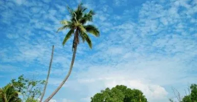 Rekomendasi Destinasi Wisata Pantai di Durai Kabupaten Karimun