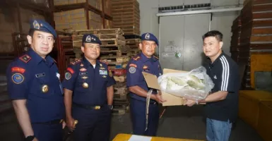 4,74 Ton Ikan Asal Tiongkok dan Malaysia Batal Beredar di Batam