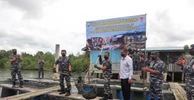 4 Ton Kerapu Cantang Didistibusikan ke Batam dan Singapura