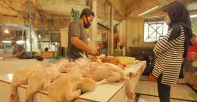 Singapura Krisis Daging Ayam, BRIN Dorong Kepri Jadi Penyuplai