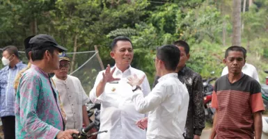 Presiden Jokowi Berikan 2 Ekor Sapi untuk Kepri