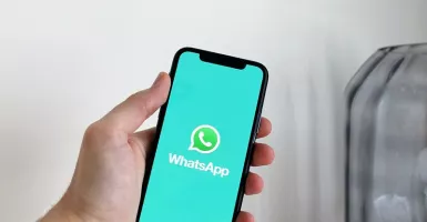Pengguna WhatsApp Bisa Sembunyikan Diri Saat Online, Ini Caranya