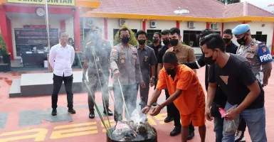 16 Kg Ganja Asal Aceh Dimusnahkan di Bintan