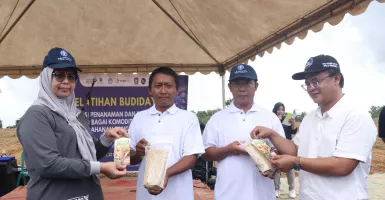 Mengenal Beras Gumiram, Produk Unggulan dari Bintan
