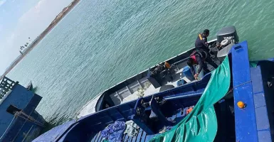 Penyelundupan 60 Ribu Benih Lobster Digagalkan di Batam