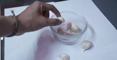 Garlicoplus, Bubuk Bawang Putih Siap Pakai Ajinamoto