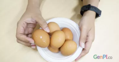 Fakta Terkait Telur yang Perlu Kamu Tahu