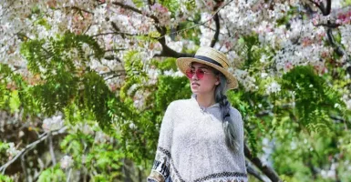 Ingin Foto Instagramable dengan Sakura? Ke Sumba Timur Aja