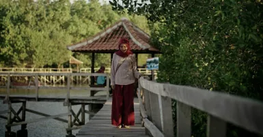 Hutan Mangrove, Tujuan Wisata Baru di Lombok