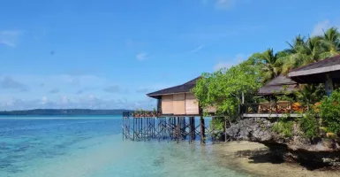 Berau Akan Punya Dive Site Resmi