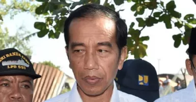 Presiden Jokowi Apresiasi Pertumbuhan Pariwisata Indonesia