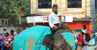 Hanya di Lampung, Gajah Ikut Karnaval