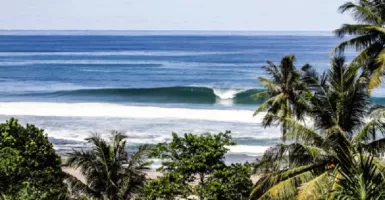Lobster Khas Simeulue Aceh Manjakan Lidah Para Surfer Dunia