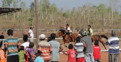 Adrenalin Besar Pacuan Kuda Tradisional Kefamenanu