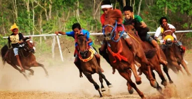 Tuan Rumah Juara Pacuan kuda tradisional Crossborder TTU