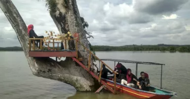 Wisata Alam Sungai Paku, Sajikan Pemandangan Memukau