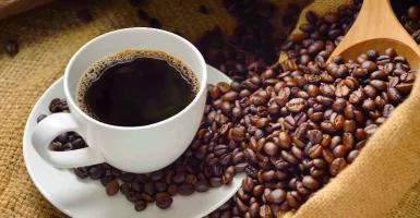 Nikmati Seduhan Luwak Coffee ‘Pawon’ Borobudur yang Mendunia