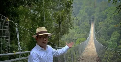 Kang Emil Promosikan Jembatan Gantung Situ Gunung Sukabumi