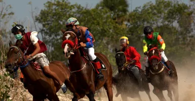 Mengenal Tradisi Pacuan Kuda di Jeneponto