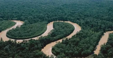 Sungai Memberamo 'Amazonnya Papua'