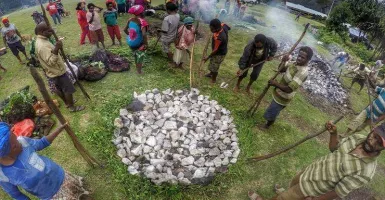 Mengenal Barapen, Tradisi Memasak ‘Bakar Batu’ Dari Papua