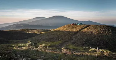 Pemulihan Habitat, Gunung Prau Akan Ditutup