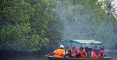 Pengudang Bintan Mangrove, Destinasi Baru di Pulau Bintan