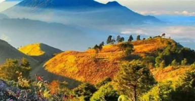 Pendakian Gunung Prau Ditutup 3 Bulan Untuk Reboisasi