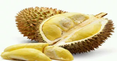 7 Jenis Durian Ini Berasal Dari Indonesia, Kamu Suka yang Mana?