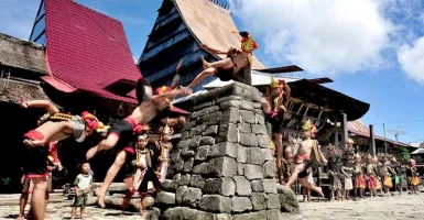Atraksi Lompat Batu Kolosal di Pulau Nias