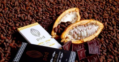 Indonesia Penghasil Cokelat Terbesar Ketiga di Dunia
