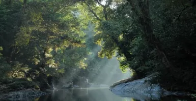 Yuk Berpetualang Menikmati Pesona Keindahan di Taman Nasional Betung Kerihun!