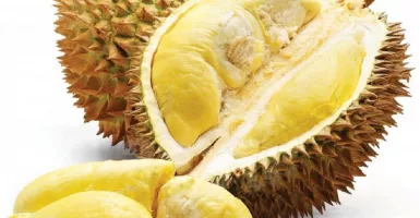 Manjakan Pencinta Durian, GenPI Rohul Gelar Pasar Seribu Durian