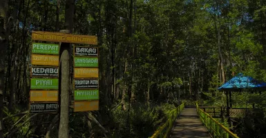 Ini 3 Destinasi Wisata Top di Riau