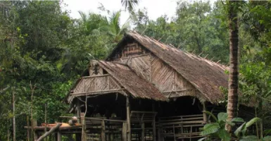 Mentawai Ternyata Punya Rumah Adat dengan Struktur yang Kuat