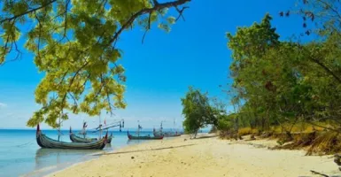 Wow, Pulau Giliyang Punya Kandungan Oksigen Terbaik di Dunia