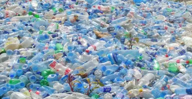 Mengerikan, Ini Bahaya Sampah Plastik