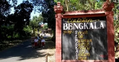 Desa Bisu Tuli itu Bernama Bengkala