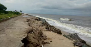 Pantai Ujung Pandaran Abrasi, Pemerintah Diminta Tanggap