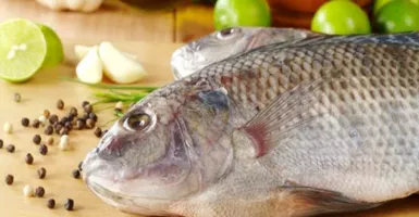 Cari Variasi Masak Ikan Mujair, Nih Coba Menu Bilenthango Gorontalo