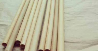 Begini Cara Membuat dan Merawat Sedotan Bambu