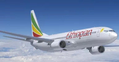 Pesawat Ethiopian Airlines Jatuh Dan Membawa 149 Penumpang