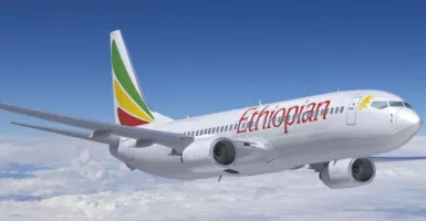 Satu WNI Dikabarkan Jadi Korban Jatuhnya Ethiopian Airlines